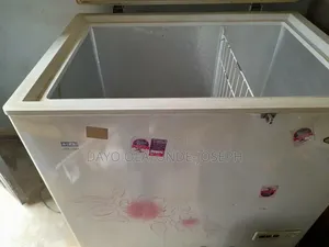 Freezer 259litres