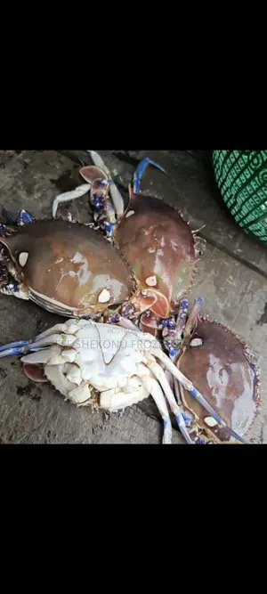 Prawn, Shrimp and Sea Crab