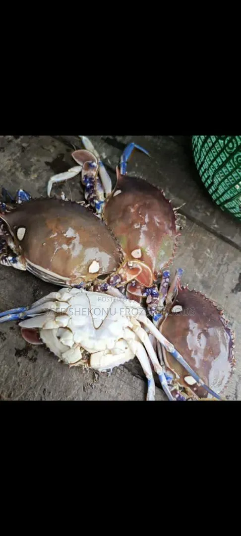 Prawn, Shrimp and Sea Crab