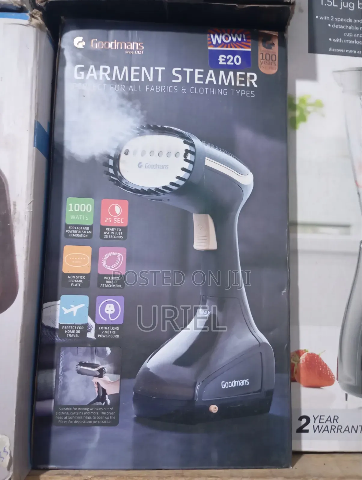 Garment Steamer