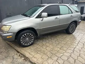 Lexus RX 300 2WD 2002 Gray