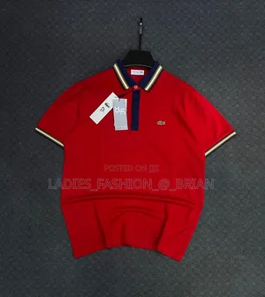 Good Quality Collar Neck T Shirt for You