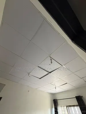 Suspended Ceiling