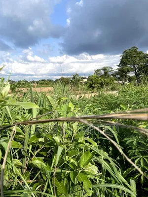 Land for Sale at Ugwumo Enugu State