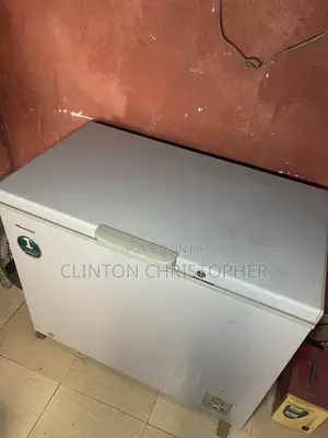 250l Deep Freezer