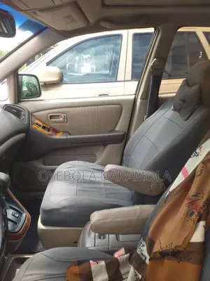 Lexus RX 2004 Silver