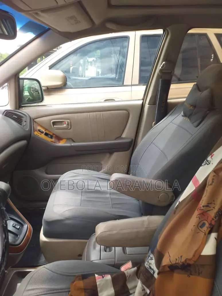 Lexus RX 2004 Silver