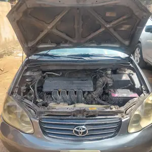 Toyota Corolla 2004 Gray