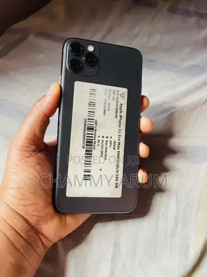 Apple iPhone 11 Pro Max 256 GB Gray