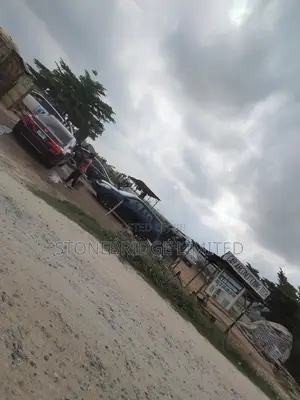 Dangote Bua Cement Distributor