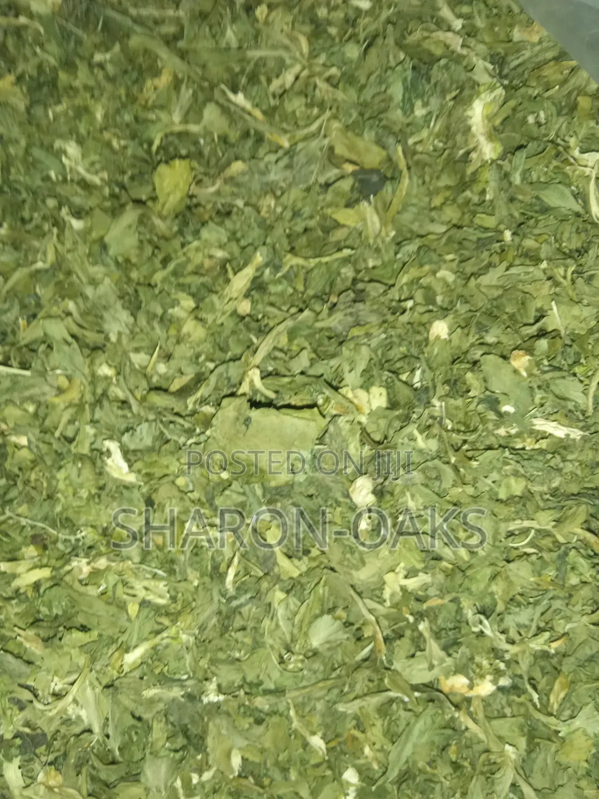 Celery Leaves 100g