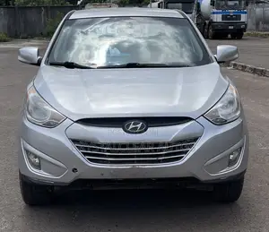 Hyundai Tucson 2014 Silver