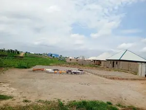 100/100 Land