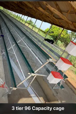 96 Birds Capacity Cage Cold Deep Galvanized