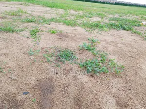 One Bedroom Block of Apartment Hutu Exclusive