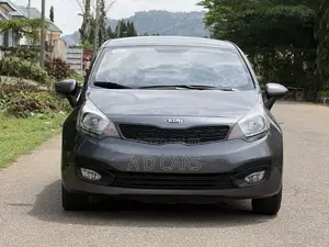 Kia Rio 2014 Gray