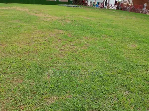 Premium Estate Land in Mshel Hutu Exclusive