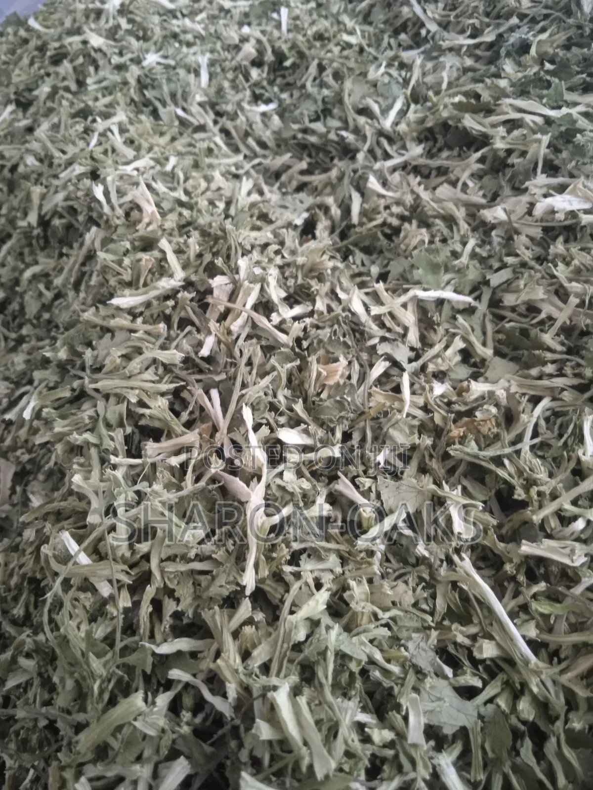 Cilantro Leave 100g