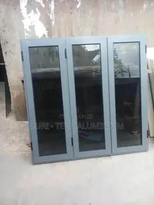 Ebm Window Grey Color Black Glass With Burglary And Net