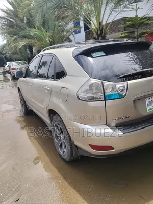 Lexus RX 2007 Gold