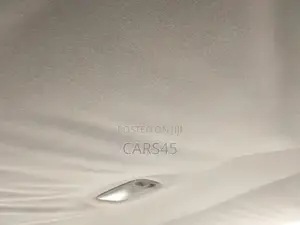 Toyota Camry 2001 Gray