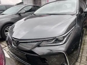 Toyota Corolla LE 2020 Gray