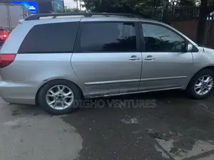 Toyota Sienna XLE 2007 Silver