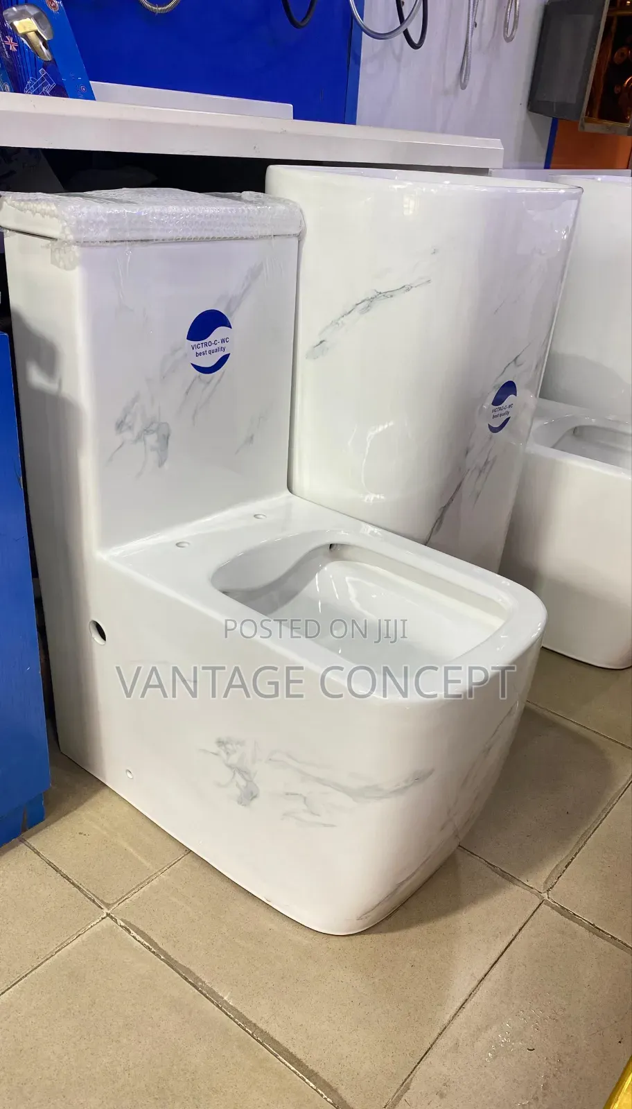 Executive Clara Colour Wc With Standing Basin