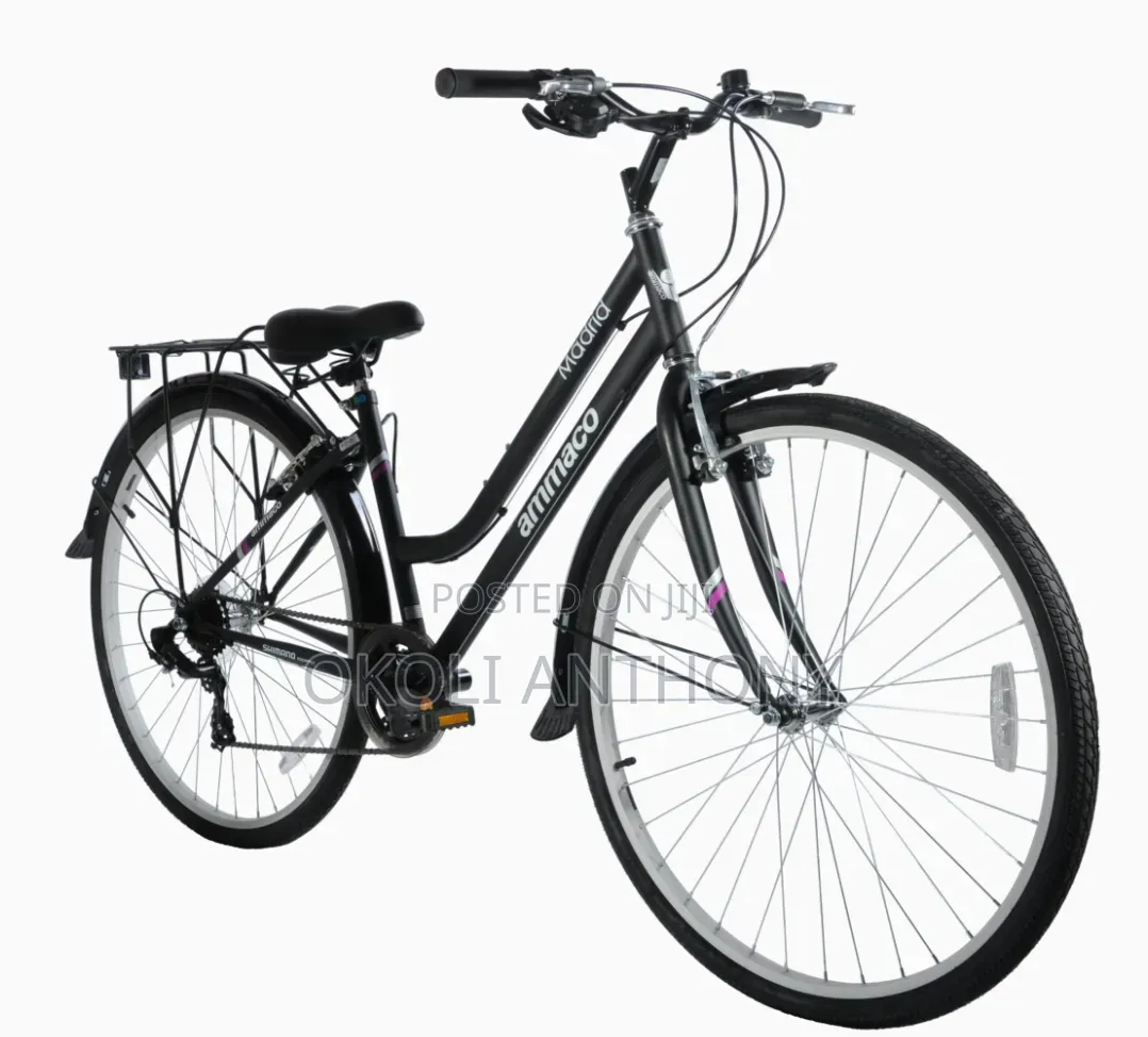 Bicycle for Adults