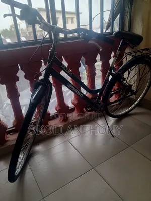 Bicycle for Adults