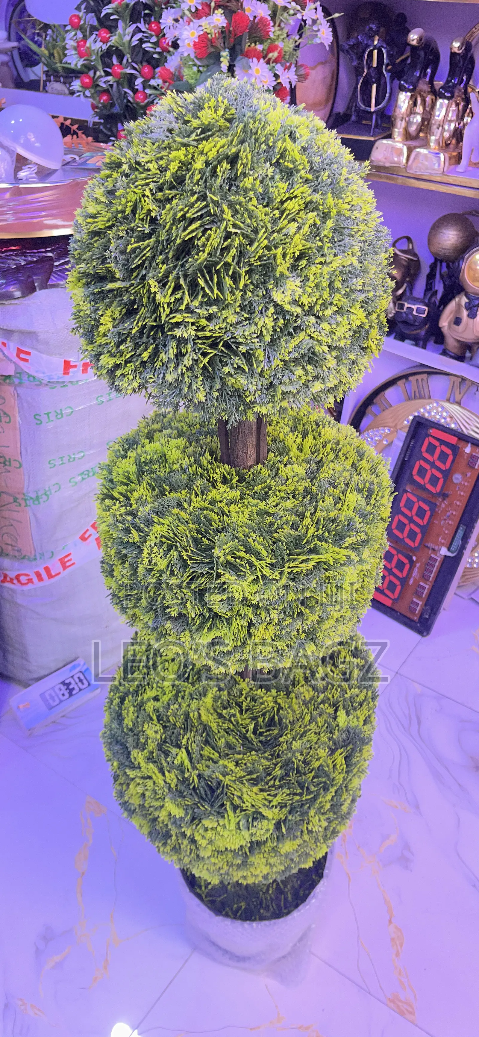 Big Flower Tree