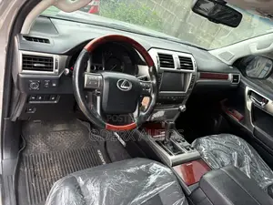 Lexus GX 460 2010 Silver
