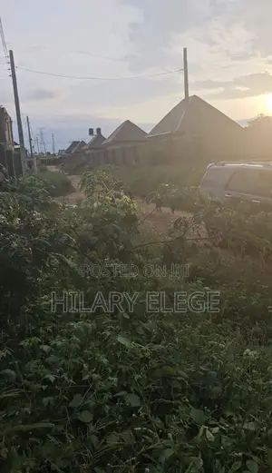 100 By 100 Land Close To Asaba For Sale