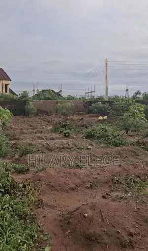 100 By 100 Land Close To Asaba For Sale