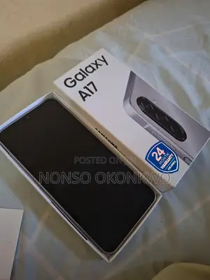 Samsung Galaxy A17 128 GB Gray