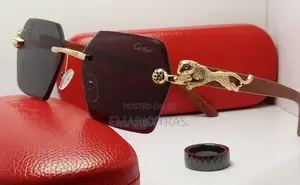 Luxury Rimless Designer Sunglasses