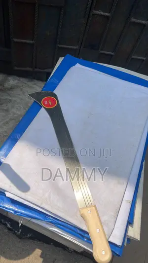 Stainless Steel Garden and Home Cutlass