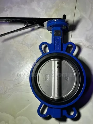 6"-Inch(Dn150)Butterfly Valve With a Stainless Steel Disc/Tongue