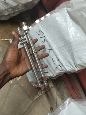 5/8 X 250 Ss Stud Bolt and Nut