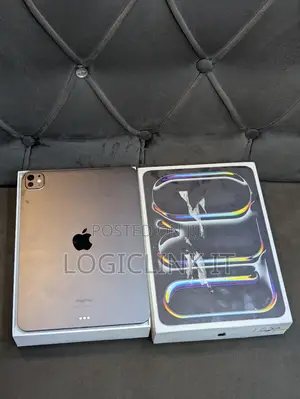 Apple iPad Pro 11 (2024) 256 GB Gray