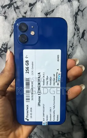Apple iPhone 12 256 GB Blue