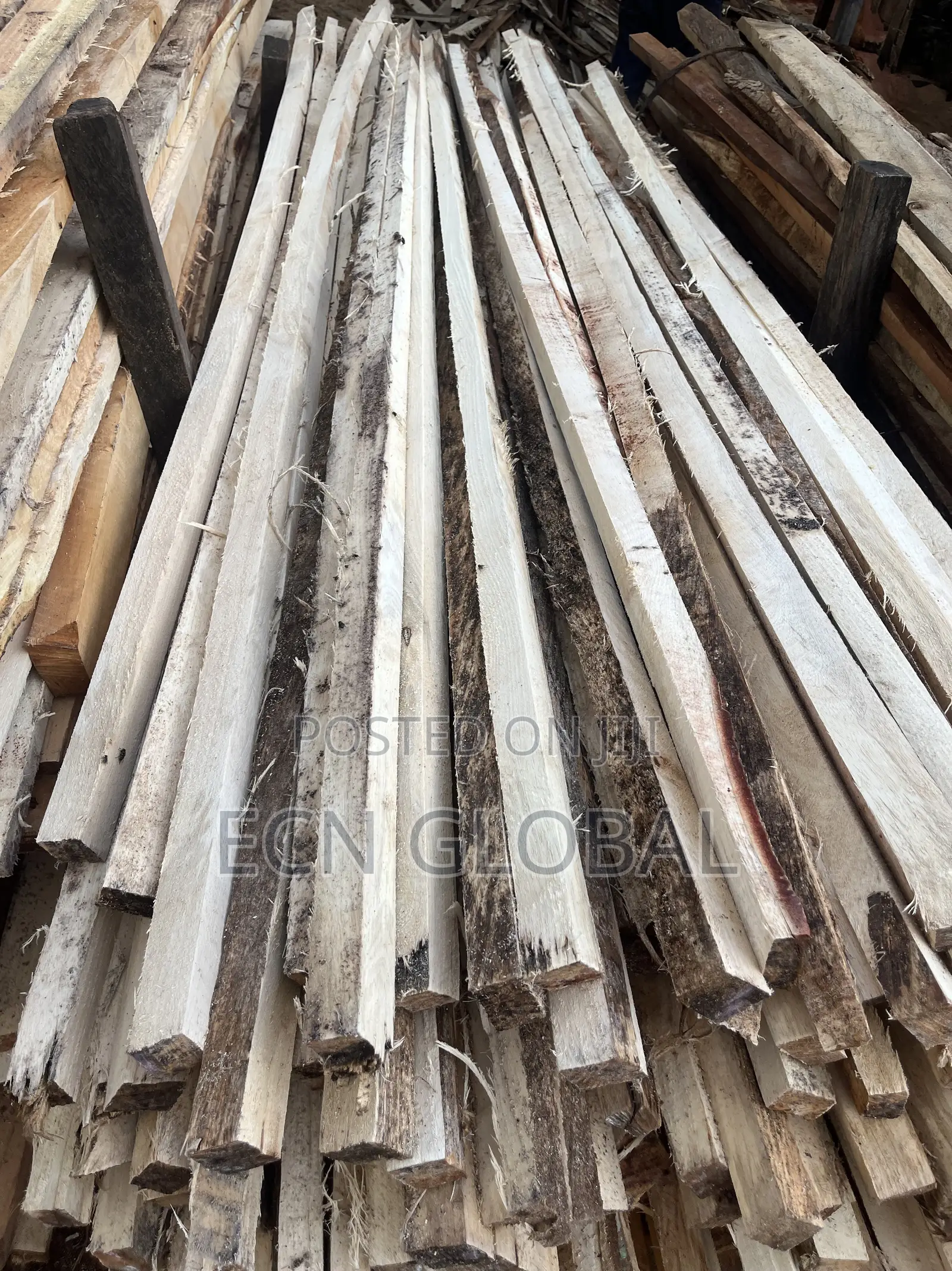 Timber Wood