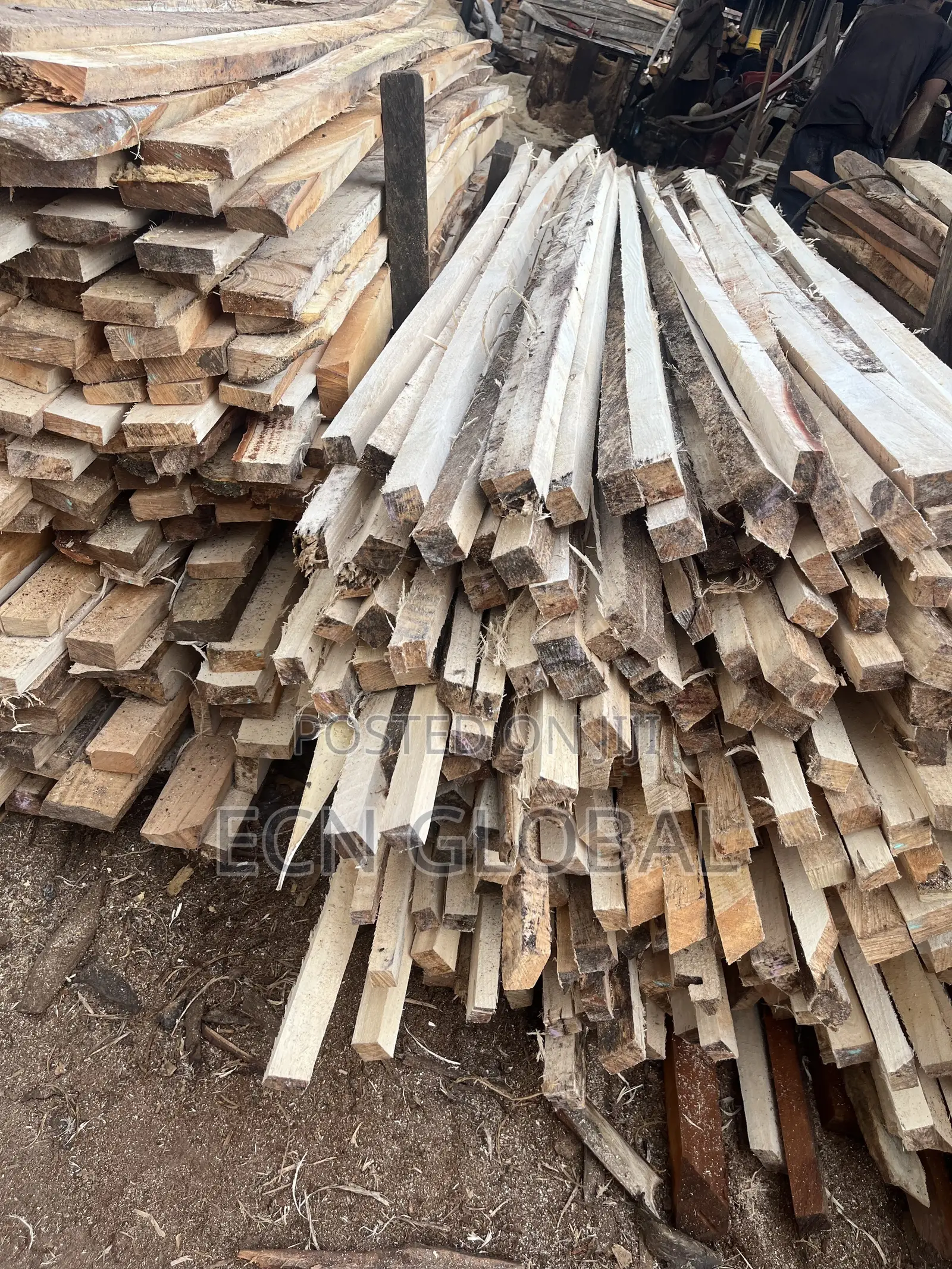 Timber Wood