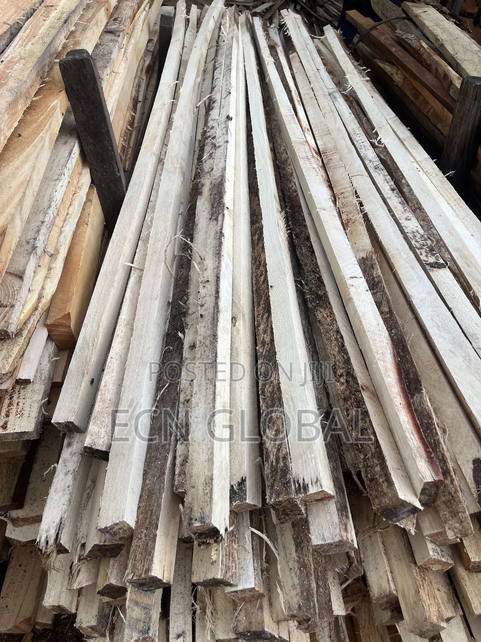 Timber Wood