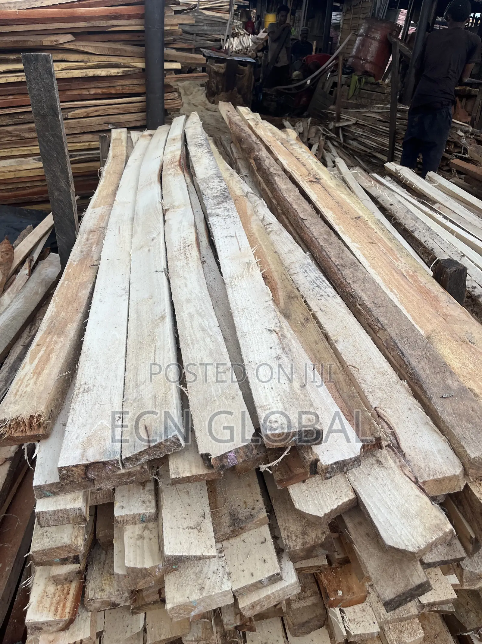 Timber Wood