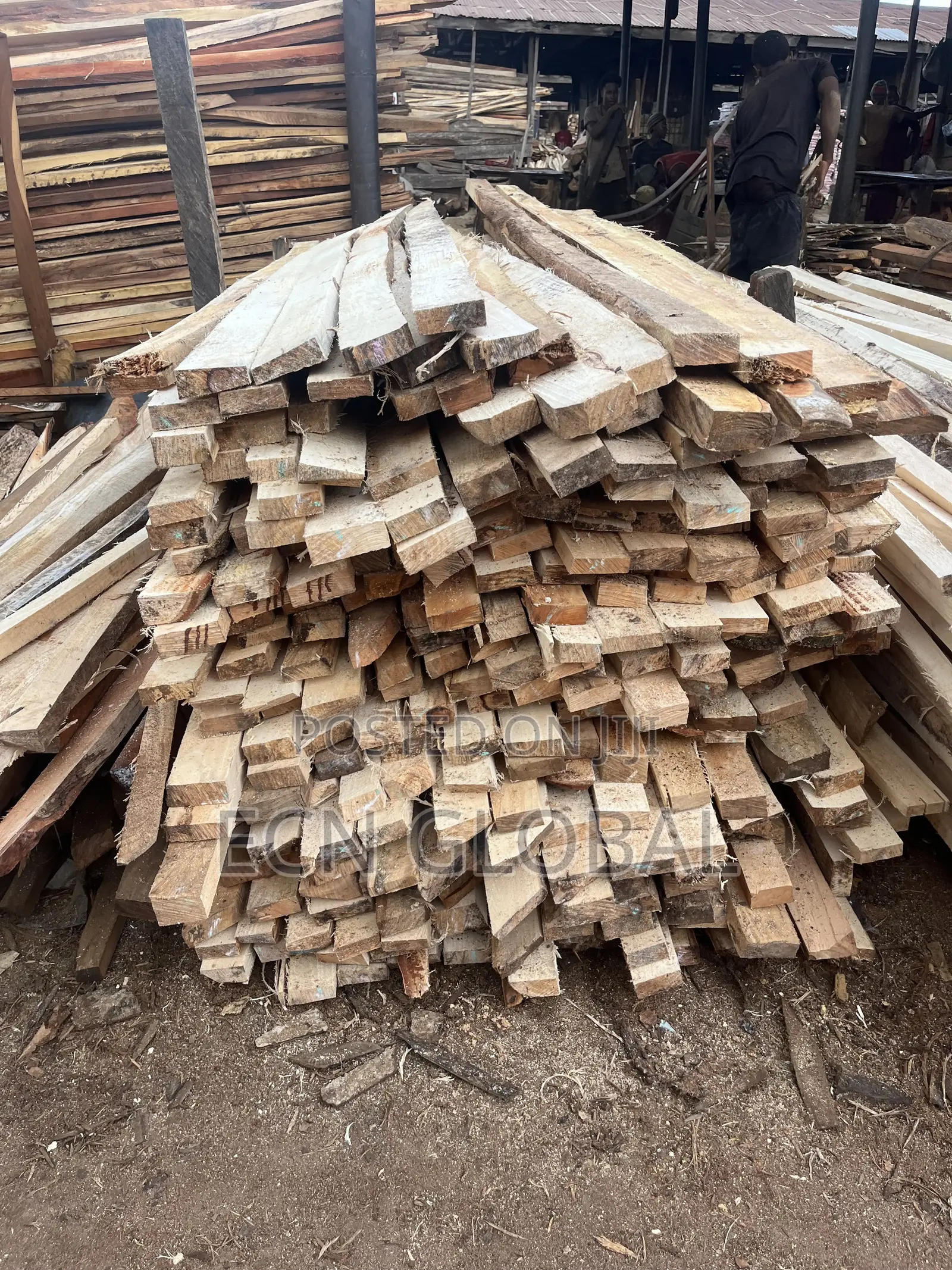 Timber Wood