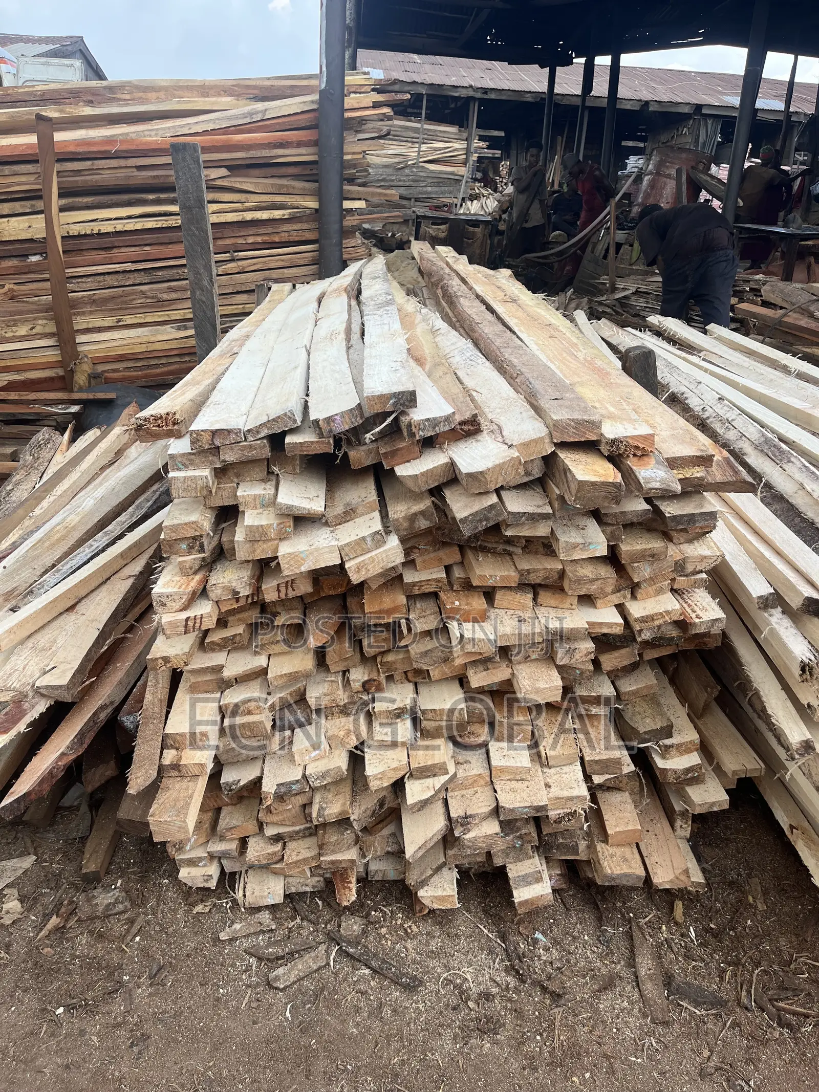 Timber Wood