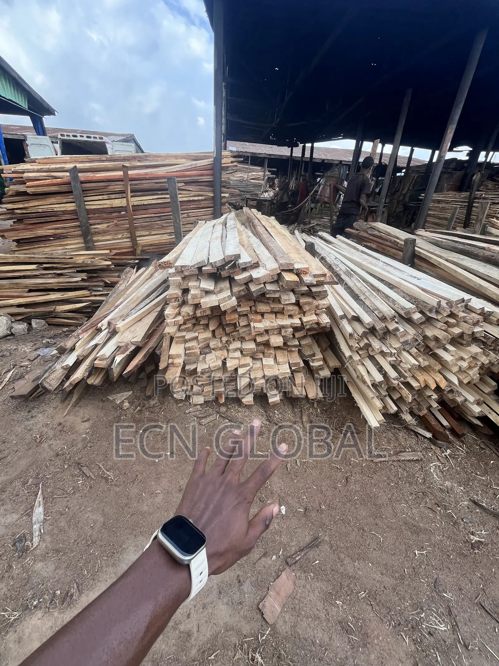 Timber Wood