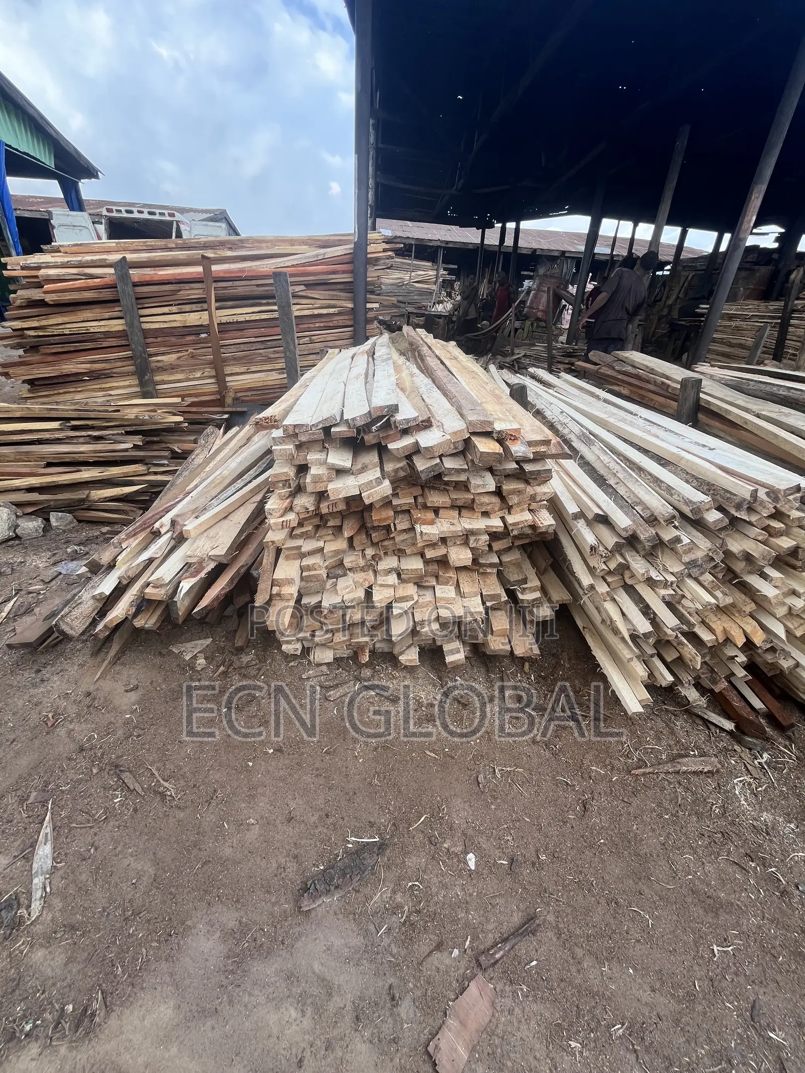 Timber Wood