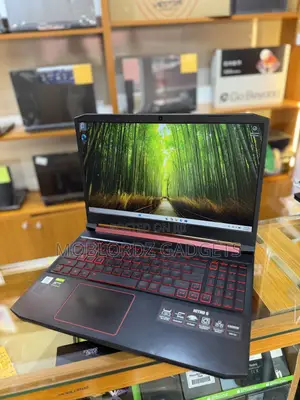 Laptop Acer Nitro 5 16GB Intel Core i5 SSD 1T